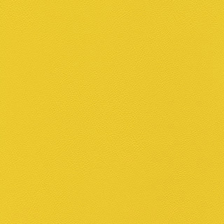 Sunshine