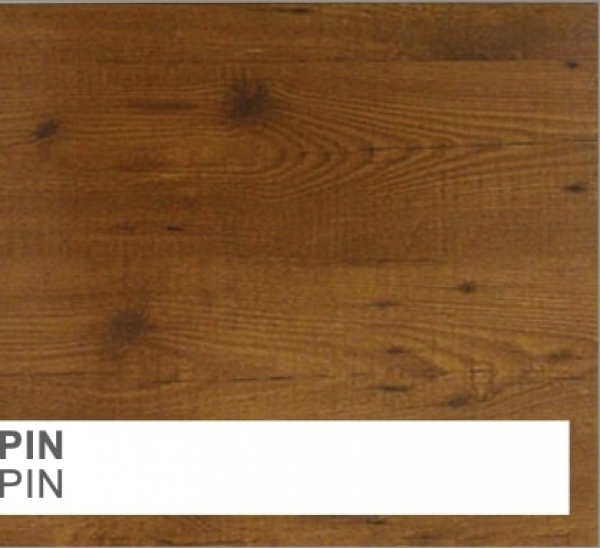 Pin