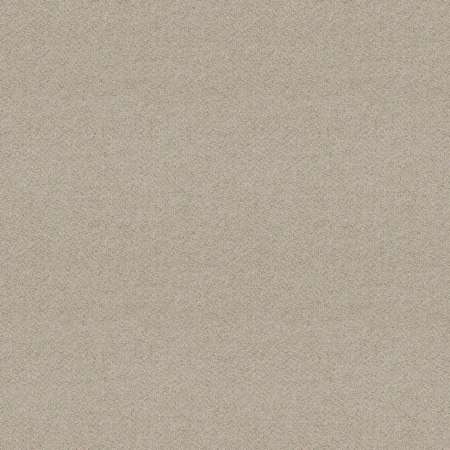LDS19