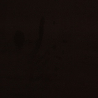 516-Ambience 