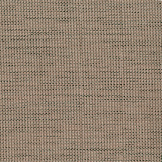 827 Dark Beige