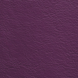 213 Aubergine