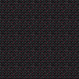 ZAN01